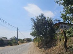Продължава почистването на храсти и растителност в община Сливен