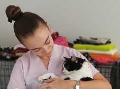 Кастрират безплатно дворни кучета и котки в Сливен