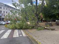 Силният вятър в Сливен причини множество щети, има пострадал мъж